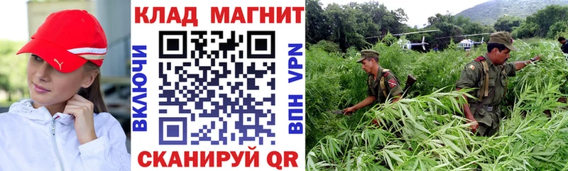 Купить закладку ГАШ Марихуана Cocaine Меф Кинешма