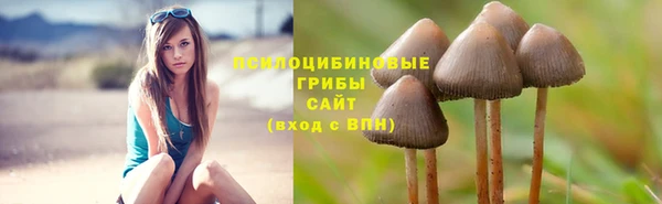 прущая мука Нея
