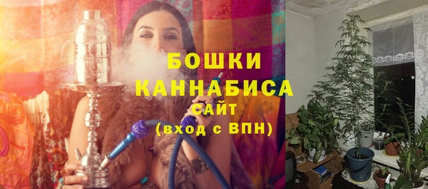 прущая мука Нея