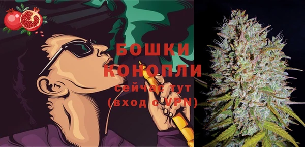 прущая мука Нея