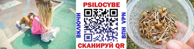 Купить закладки  Кинешма  Галлюциногенные грибы GOLDEN TEACHER 